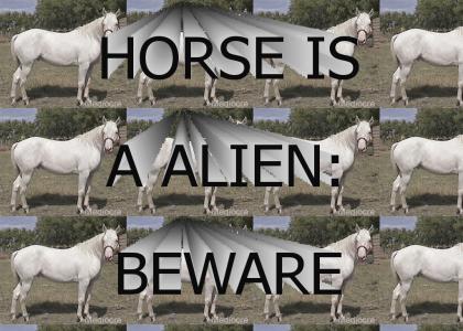 HORSE IS A ALIEN