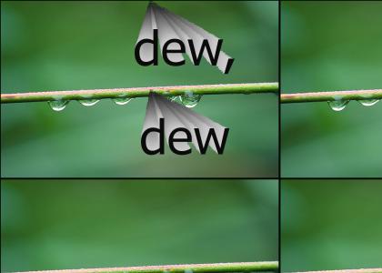 dew, dew, dew, dew