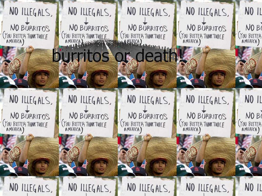 illegalburritoswhat