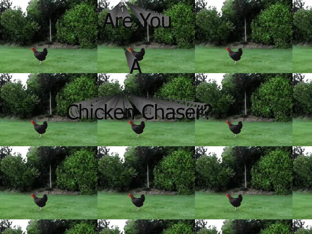chickenchaser