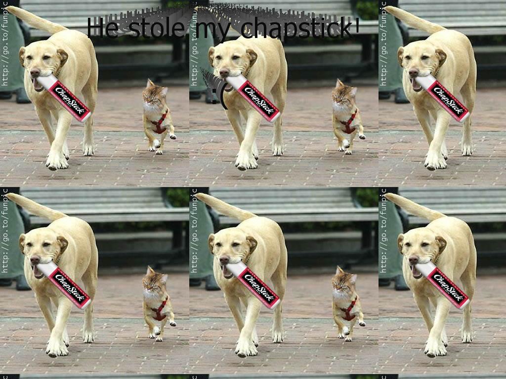 dogstealchapstick