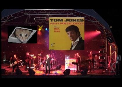 Tom Jones Loves Ceiling Cat