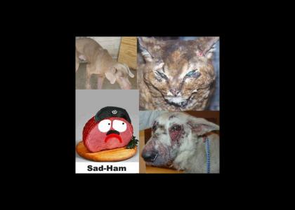 Sad Ham sees animal cruelty