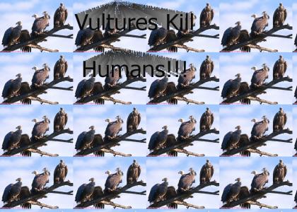 vultures kill humans