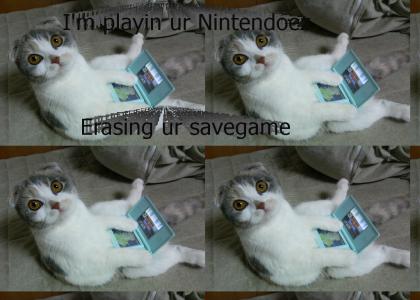 Nintendo DS Cat!