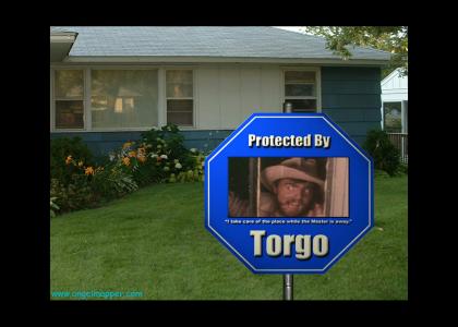 Torgo Home Security System (MST3K)