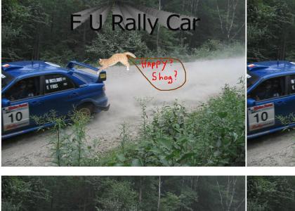 Gravity Cat Hates Subaru