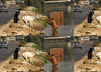 Shrek and Donkey questing for a bath in Iraq