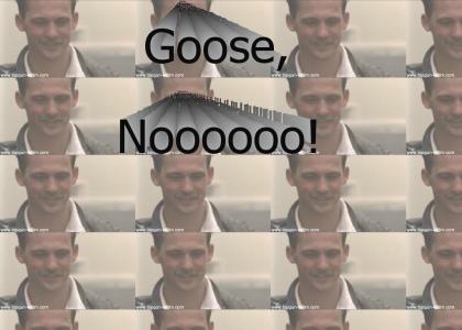 Mourning for Goose