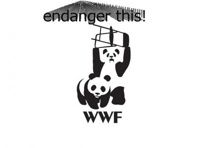 WWF dont mess around