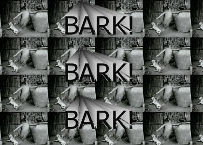 BARK!! BARK!! BARK!! BARK!! BARRRRRK!!!!