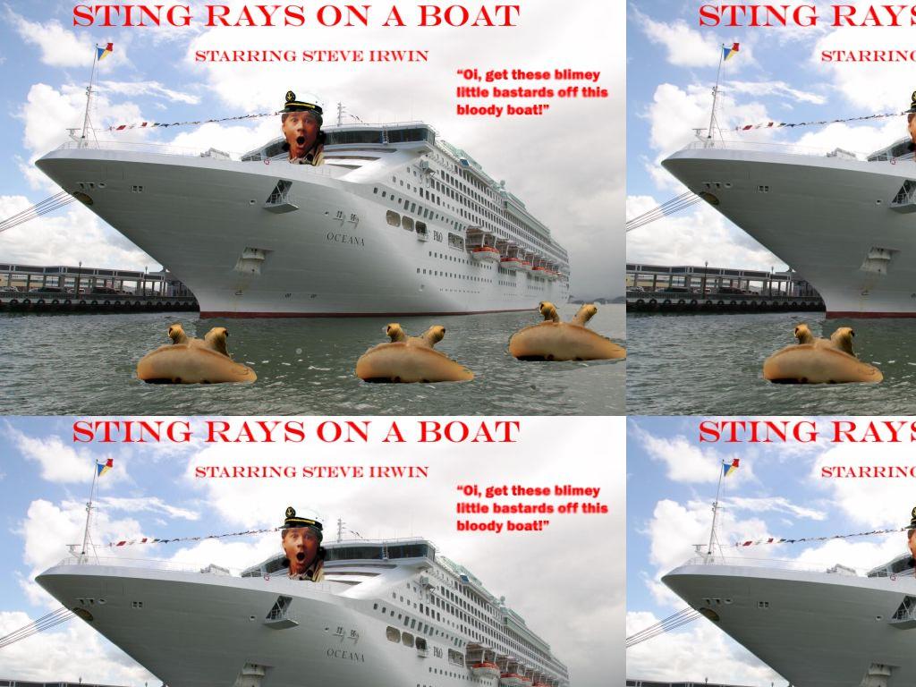stingraysonaboat