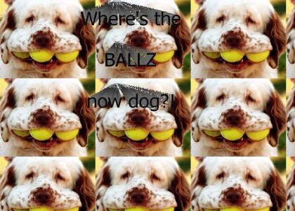 Where's the ballz