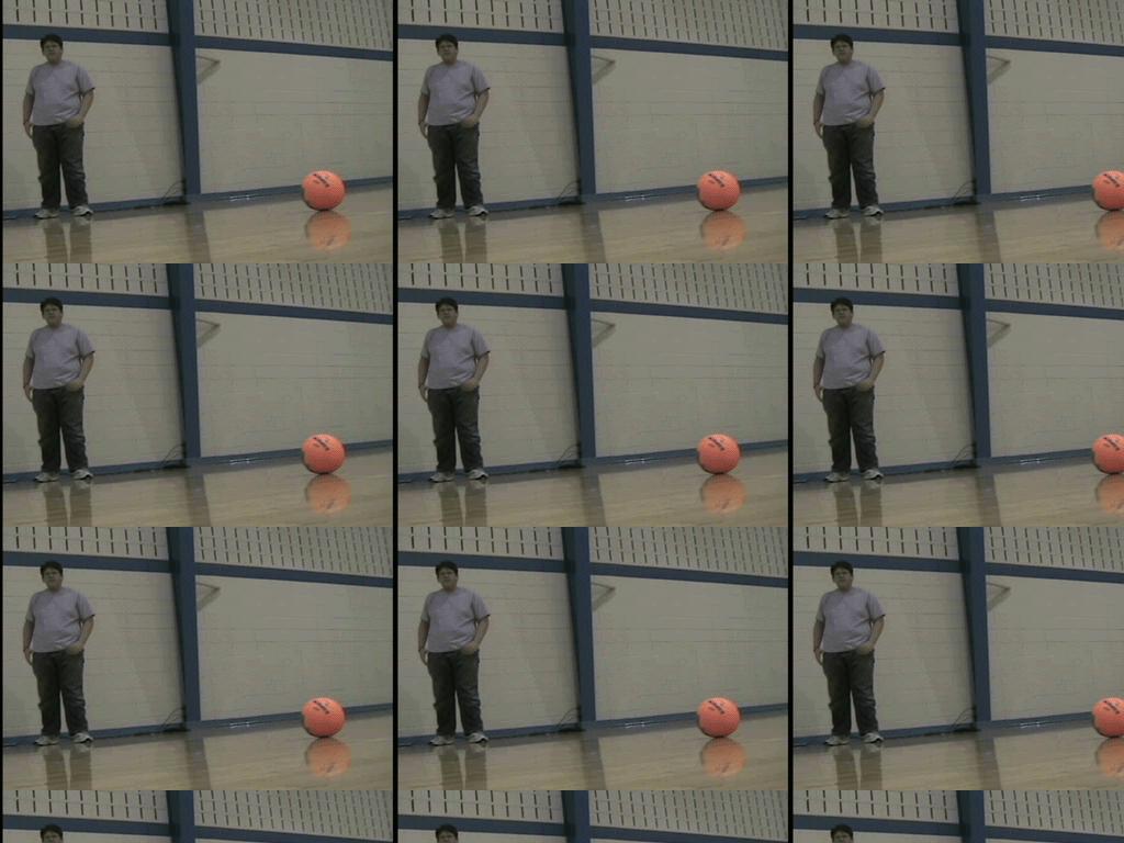 fatkiddodgeball
