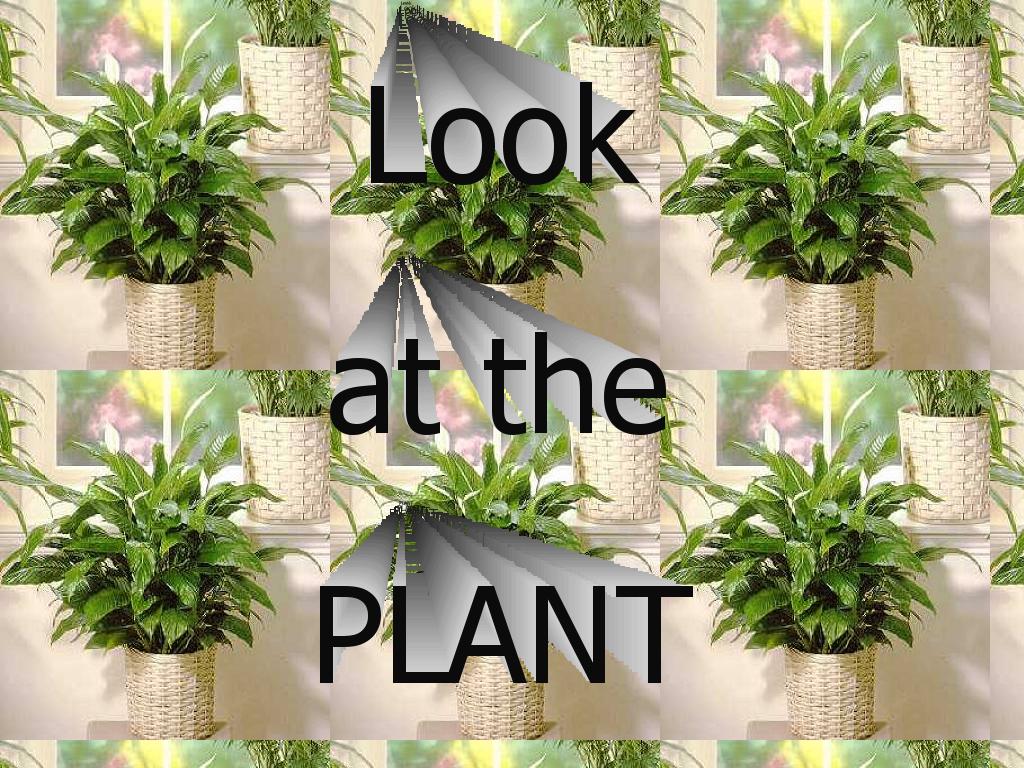 lookattheplant