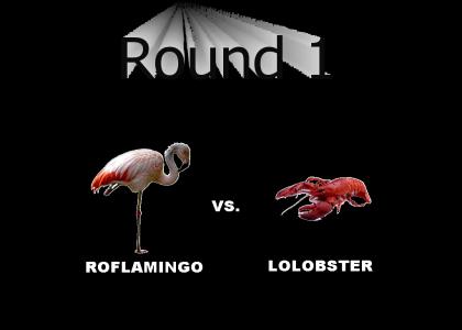 roflamingo V lolobster