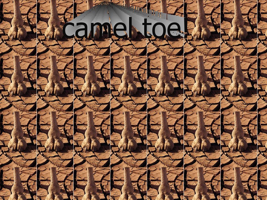 cameltoeomg