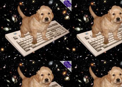 PTKFGS: dogonakeyboardinspace