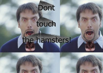 Dont touch the hamsters