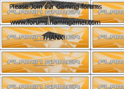 Flamin Gamer Forums