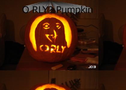 O RLY? Pumpkin