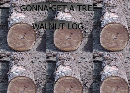 Wallnut Log