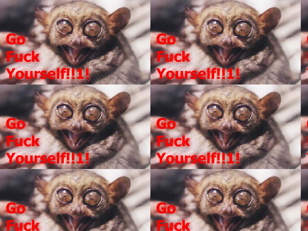 gofuckyourselftarsier