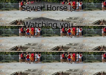 Sewer Horse is Watching You