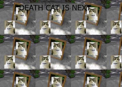 Death Cat is next!!!