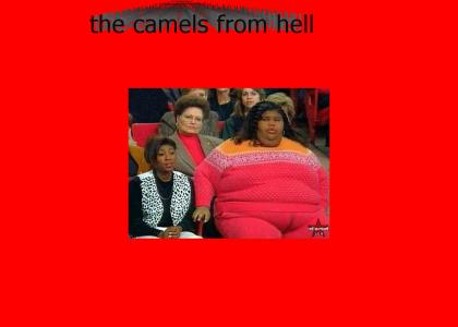 cameltoe from hell