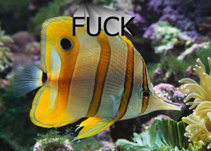 fuckfish goes under the sea
