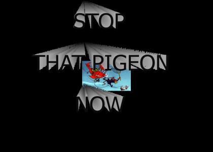 STOP THAT PIGEON