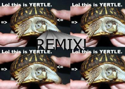 Yertle The REMIX!