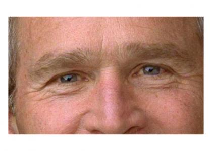 George W Bush Stares into your soul