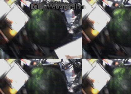 Watermellon in a DVD bin