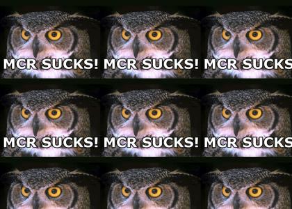 Owl doesn't like MCR