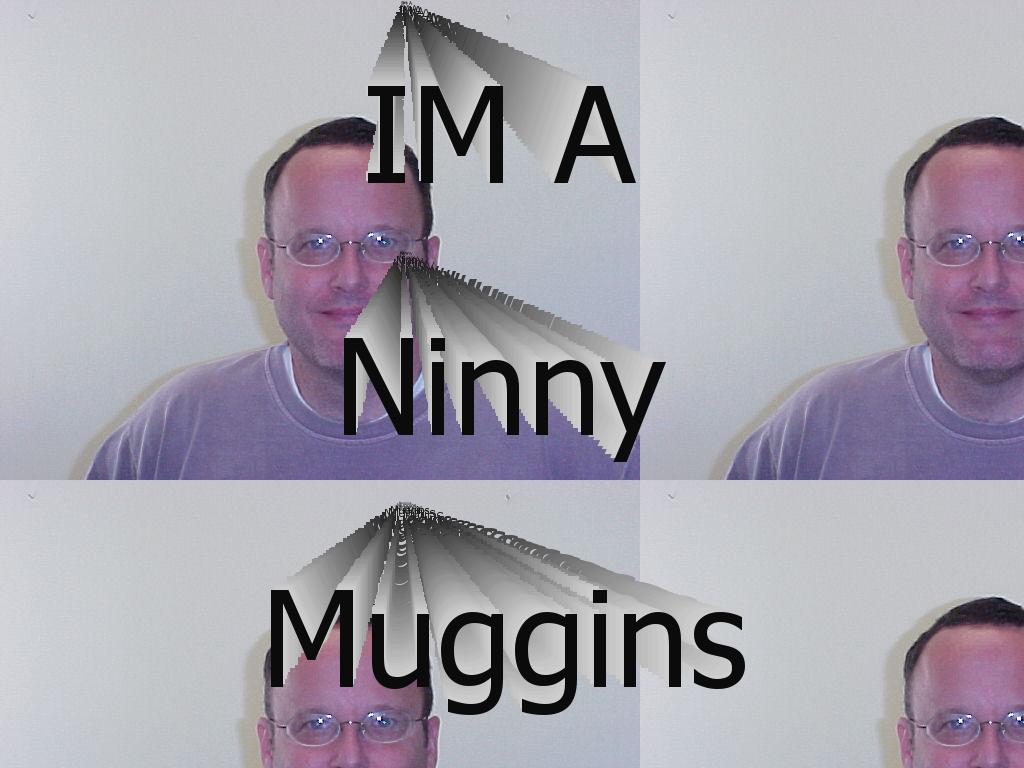 NinnyMuggins