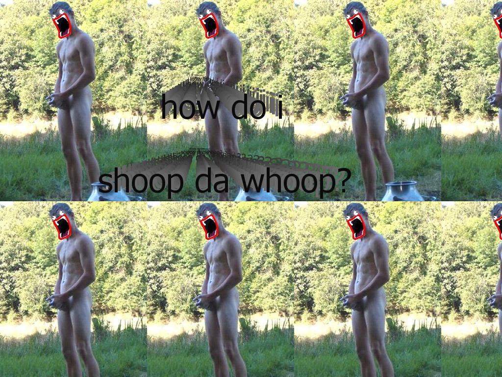 shoopdacock