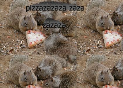 Squirrels Pizza zazaza SOUND FIXED