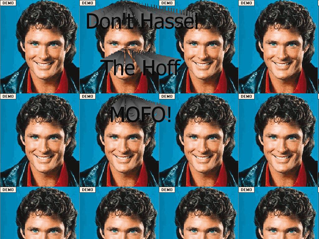 donothasselthehoff