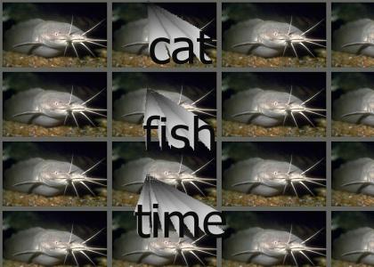 cat fish