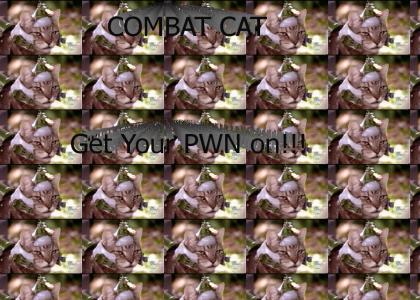 Combat Cat gets his PWN on!