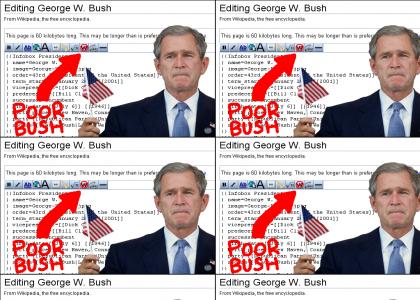 Wikipedia doesn't care about George W Bush