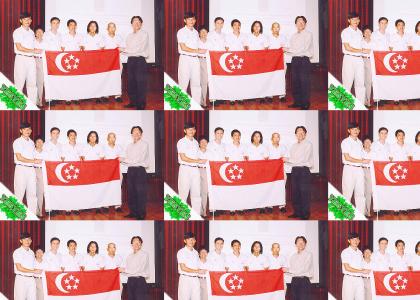 YESYES: OMG, Secret Islamic Singapore flag!