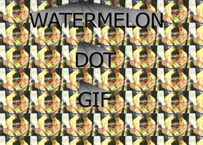 watermelon dot gif