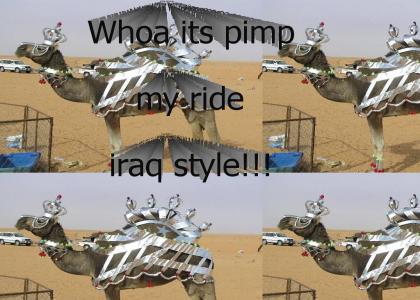 Pimp my camel