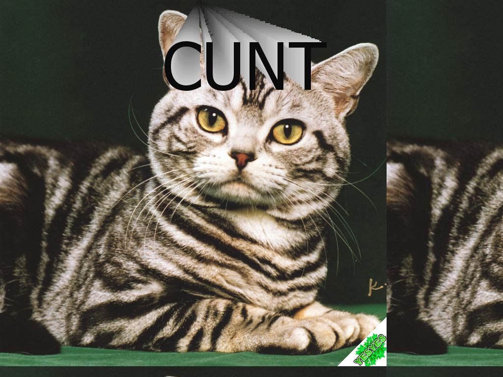 cuntcat