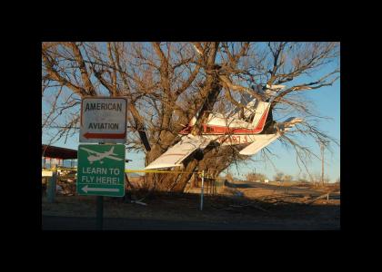 Plane vs Tree