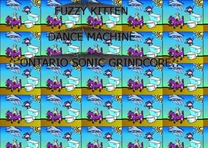 FUZZY KITTEN DANCE MACHINE!