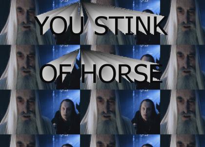 You Stink of Horse